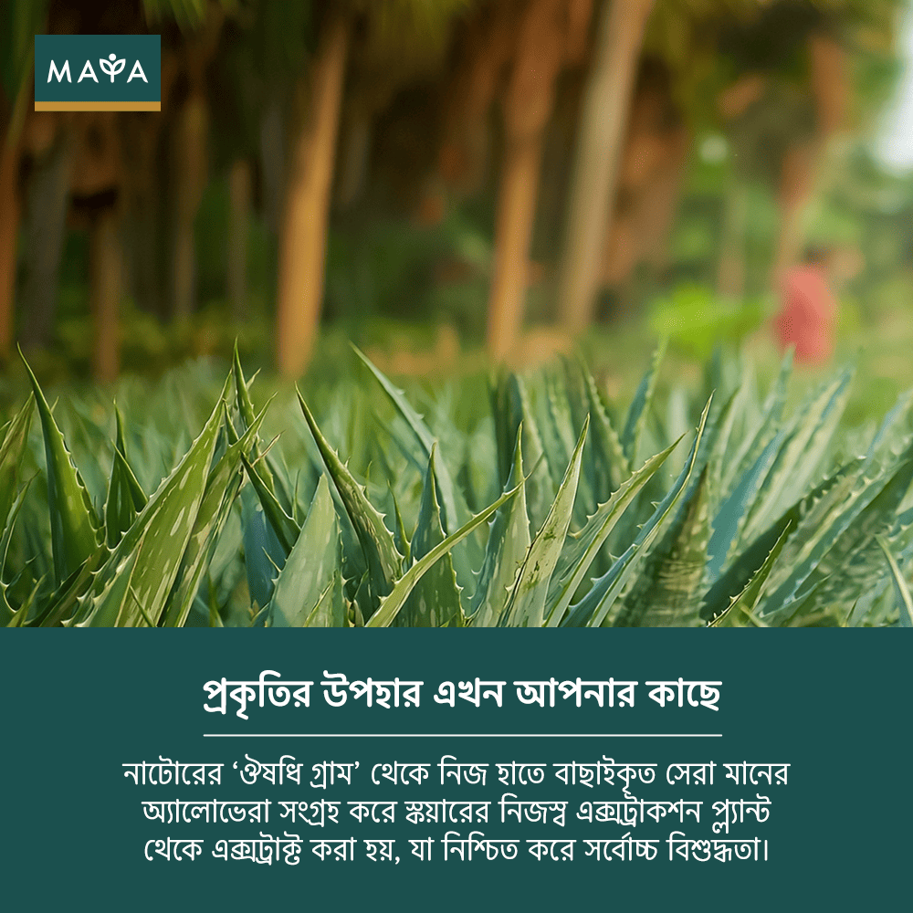 MAYA True Herbs Aloe Vera Gel--6
